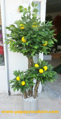 yapay limon ağacı 203