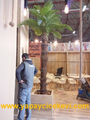 yapay palmiye ağacı